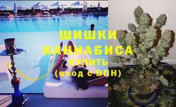 apvp Белокуриха
