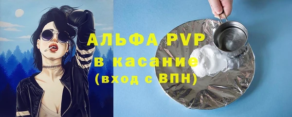 СК Беломорск