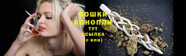 apvp Белокуриха