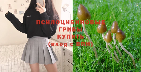 первитин Белоозёрский