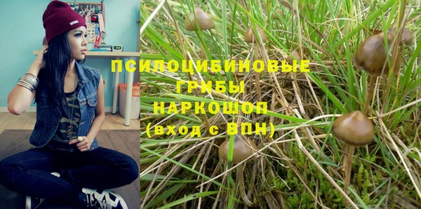 первитин Белоозёрский