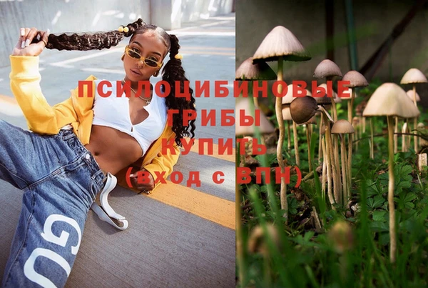 СК Беломорск