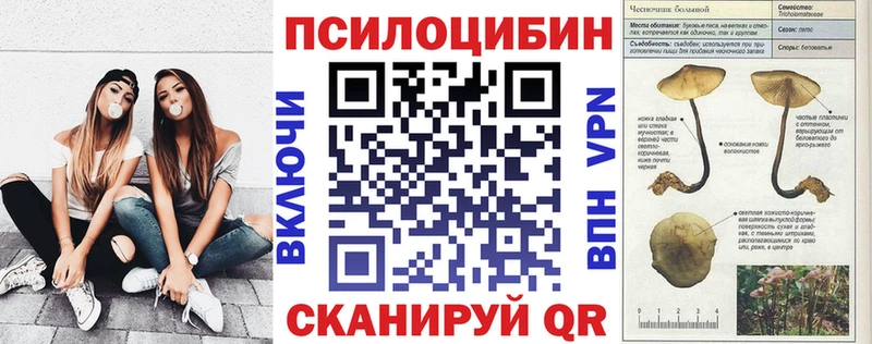 Псилоцибиновые грибы Psilocybe  купить наркотик  это формула  Железноводск  МЕГА tor 